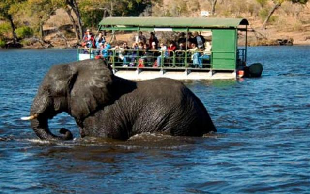Chobe National Park Trip Packages