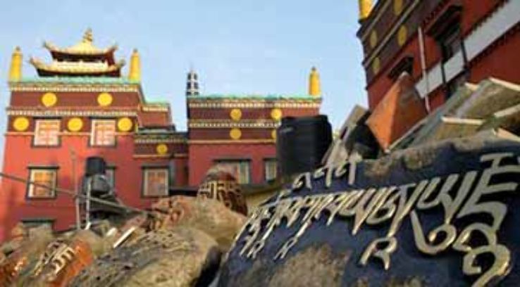 Tibetan Colony Trip Packages