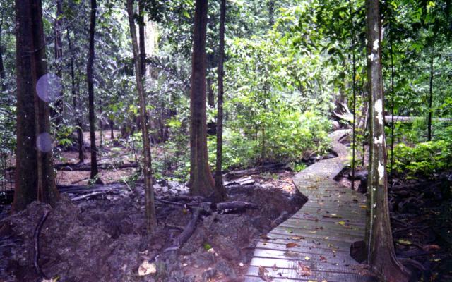 Explore Christmas Island National Park Trip Packages