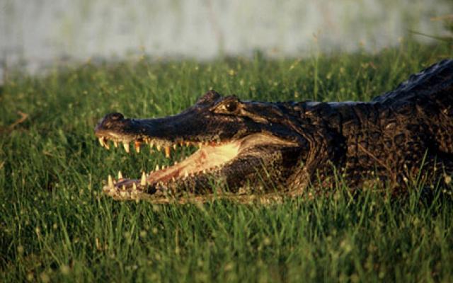 Corrientes Trip Packages