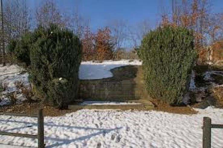 Fleron Trip Packages