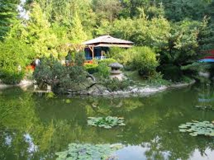 Cluj-Napoca Botanical Garden Trip Packages