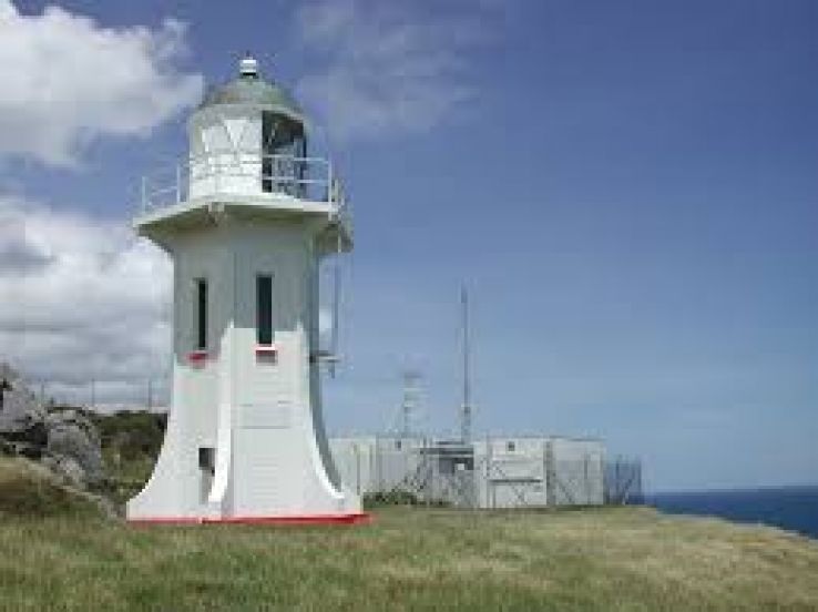 Baring Head Lighthouse Trip Packages