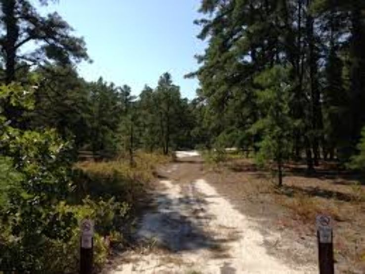 Wharton State Forest Trip Packages