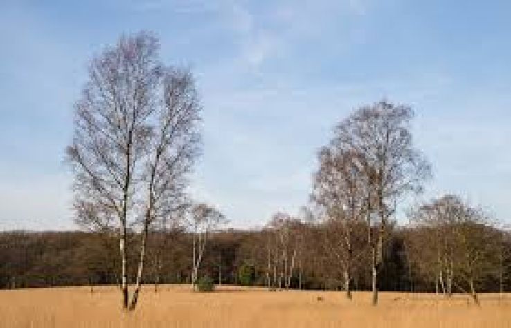 Beautiful 4 Days Netherlands Nature Vacation Package