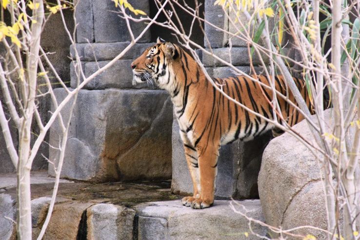 El Paso Zoo Trip Packages