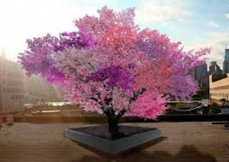 Tree of 40 Fruits Trip Packages
