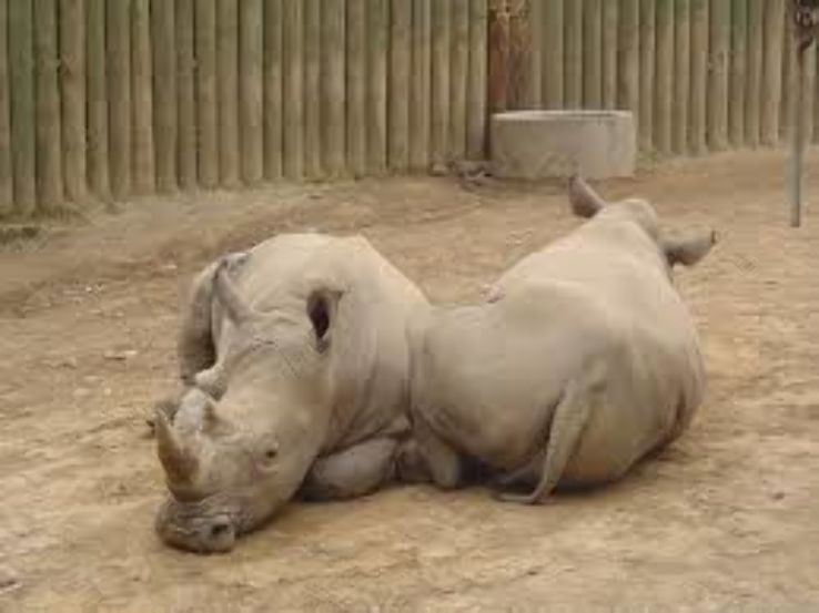 Seneca Park Zoo Trip Packages