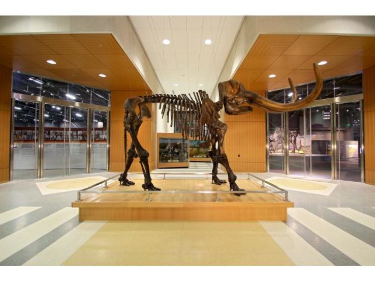 Heritage Center & State Museum Trip Packages