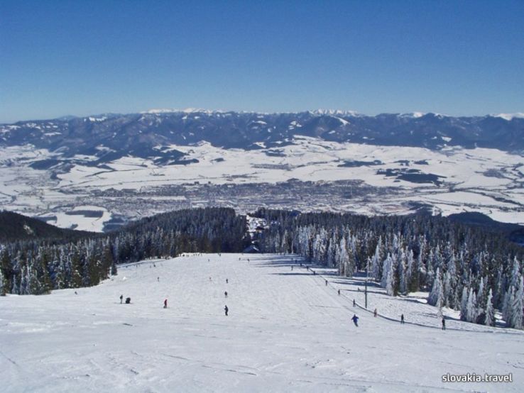 Winter park Martinky Trip Packages