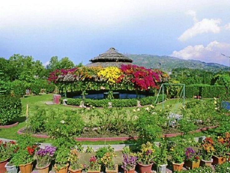 Peace Park Trip Packages