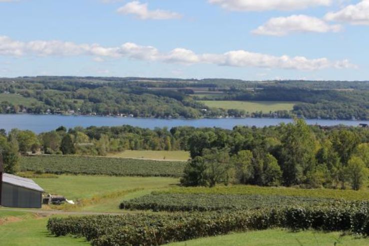 Finger Lakes Wine Country Trip Packages
