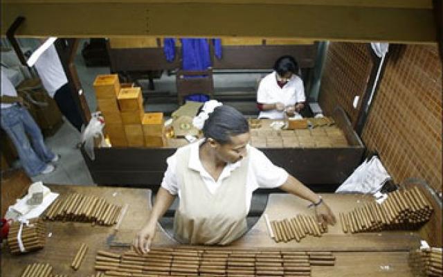 Visit a Cigar Factory: A Tour of Its Kind Trip Packages