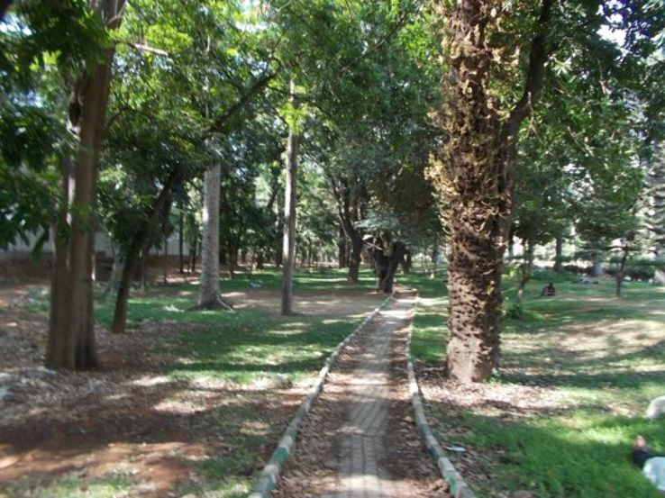 Cubbon Park Trip Packages
