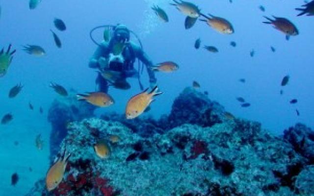 Curieuse Marine National Park Curieuse Trip Packages