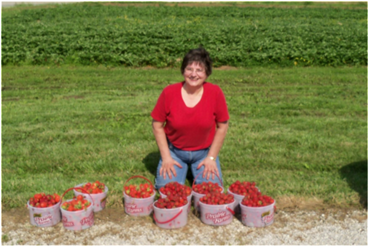 Holly Berry Farm Trip Packages Holly Berry Farm Trip Packages