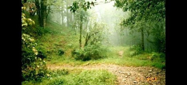 Sitlakhet Trip Packages