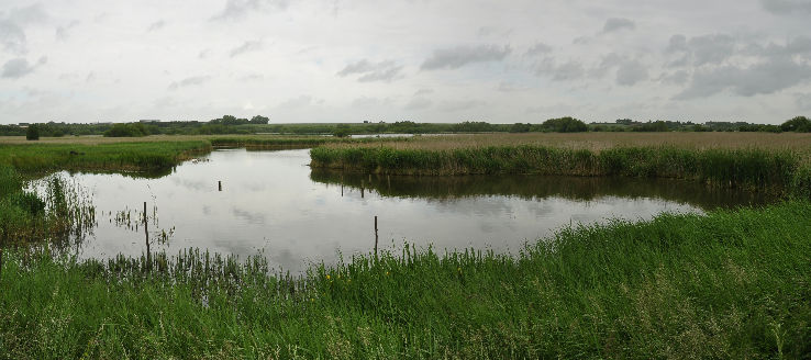 Stodmarsh National Nature Reserve  Trip Packages