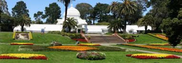Golden Gate park Trip Packages