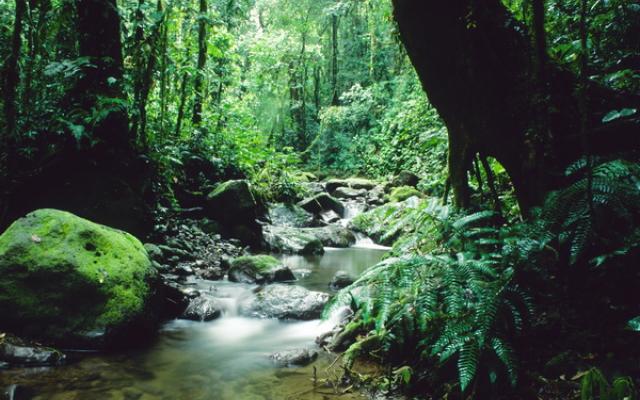 Darien National Park Trip Packages