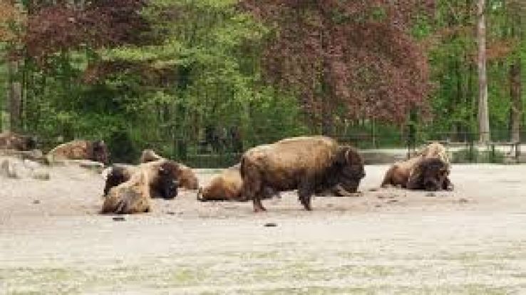 ZOO Planckendael Trip Packages