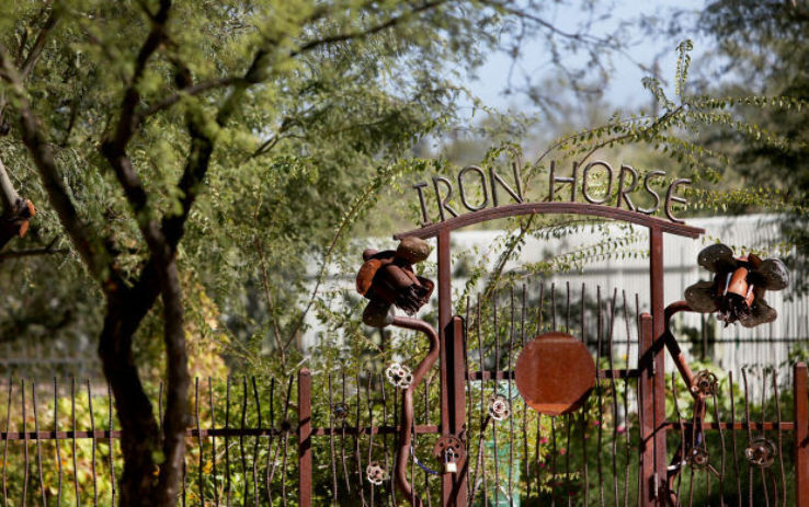  Iron Horse Park Trip Packages