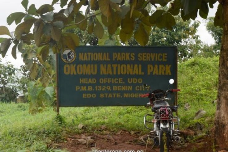 Okomu National Park Trip Packages