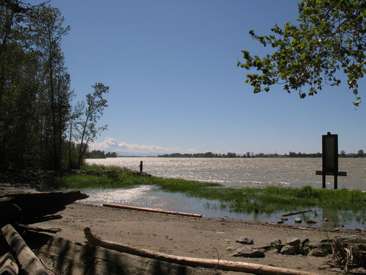 Deas Island Regional Park Trip Packages