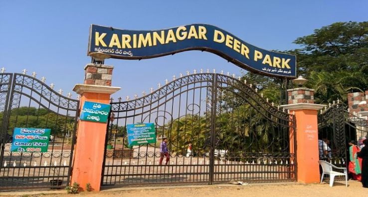 Deer Park Museum Trip Packages