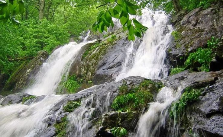 Thusharagiri Waterfall Trip Packages