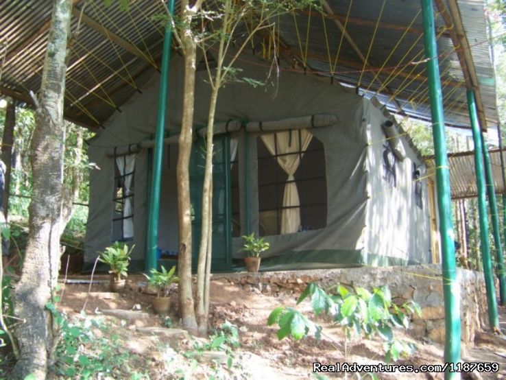 2 Days 1 Nights chikkamagaluru Tour Package