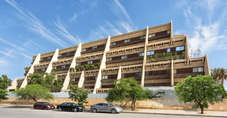 Cotton Trip Packages