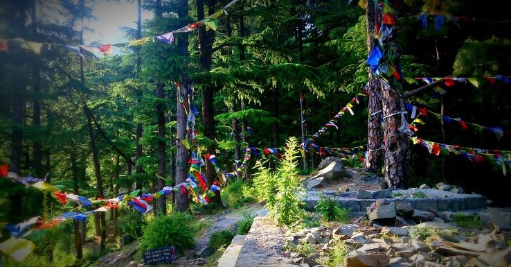 Natural Bounties Of Dharmakot Villages 2023, #25 top things to do in  dharamshala, himachal pradesh, reviews, best time to visit, photo gallery |  HelloTravel India