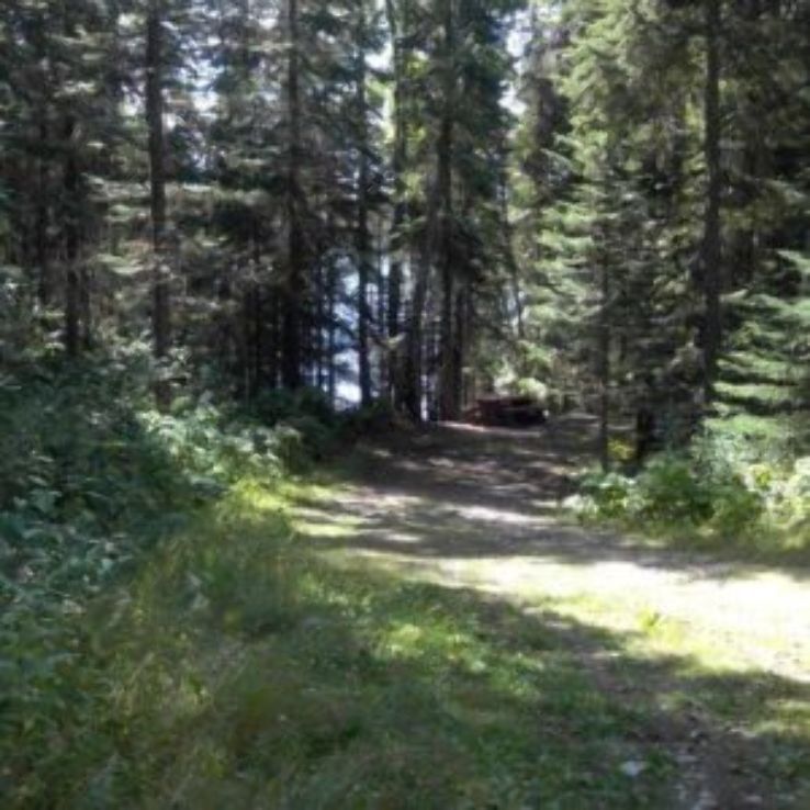 Mackenzie Trip Packages