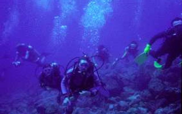 Diving: Into the Crystal Clear Trip Packages