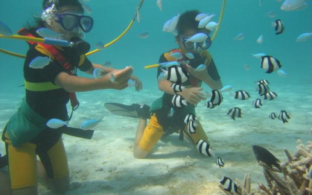 Diving: A Real Pleasure Trip Packages