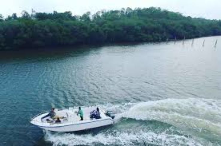 Rediscovery Cruises Trip Packages