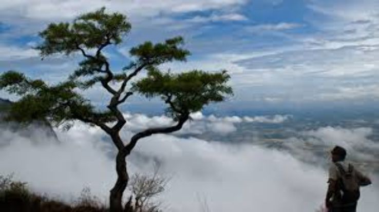 Dhoni Hills Trip Packages