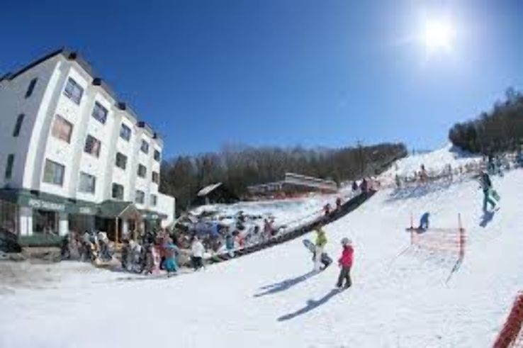 Shirakaba 2 In 1 Ski Area Trip Packages