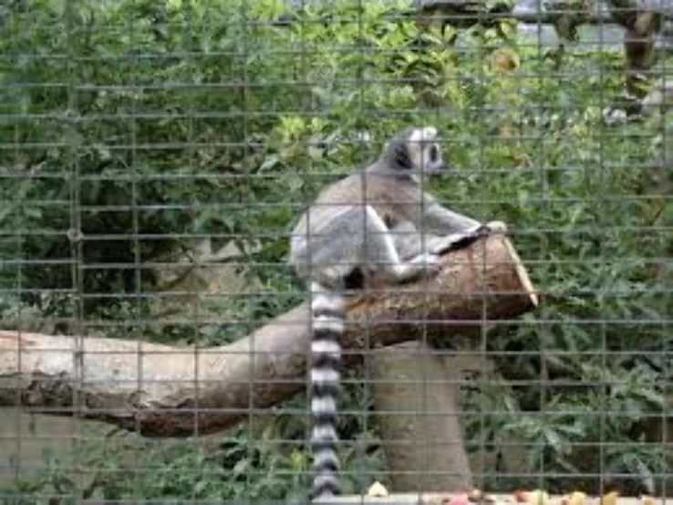 Willowbank Wildlife Reserve Trip Packages