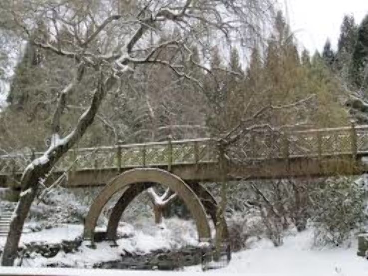 Crystal Springs Rhododendron Garden  Trip Packages