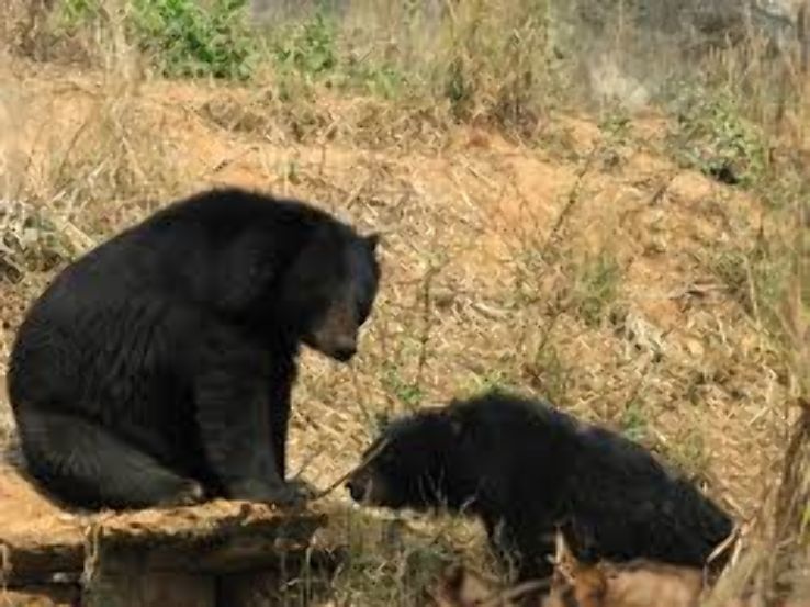 5 Days 4 Nights Guwahati and Kaziranga Vacation Package
