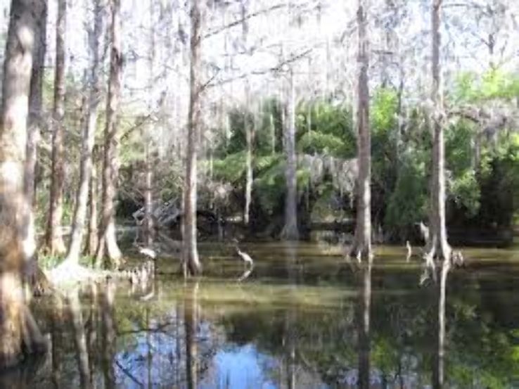 Magnolia Plantation & Gardens Trip Packages