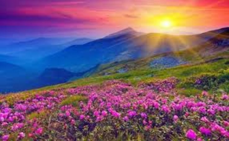 Govind Ghat Trip Packages