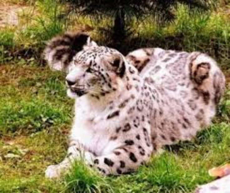 Himalaya Nature Park Trip Packages