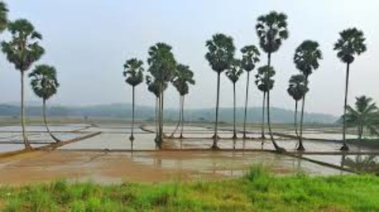 Ecstatic 3 Days 2 Nights Palakkad with Delhi Holiday Package