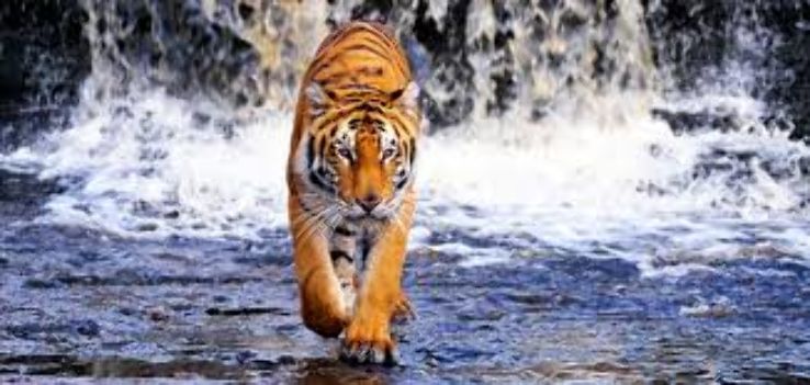 Amazing 3 Days 2 Nights Kolkata with Sundarban Vacation Package