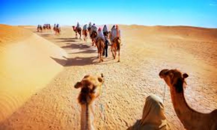 Desert Safari Trip Packages