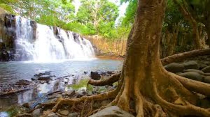 Black River Gorges National Park Trip Packages