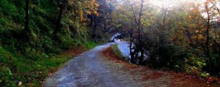 Kurfi-Chail Road Trip Packages